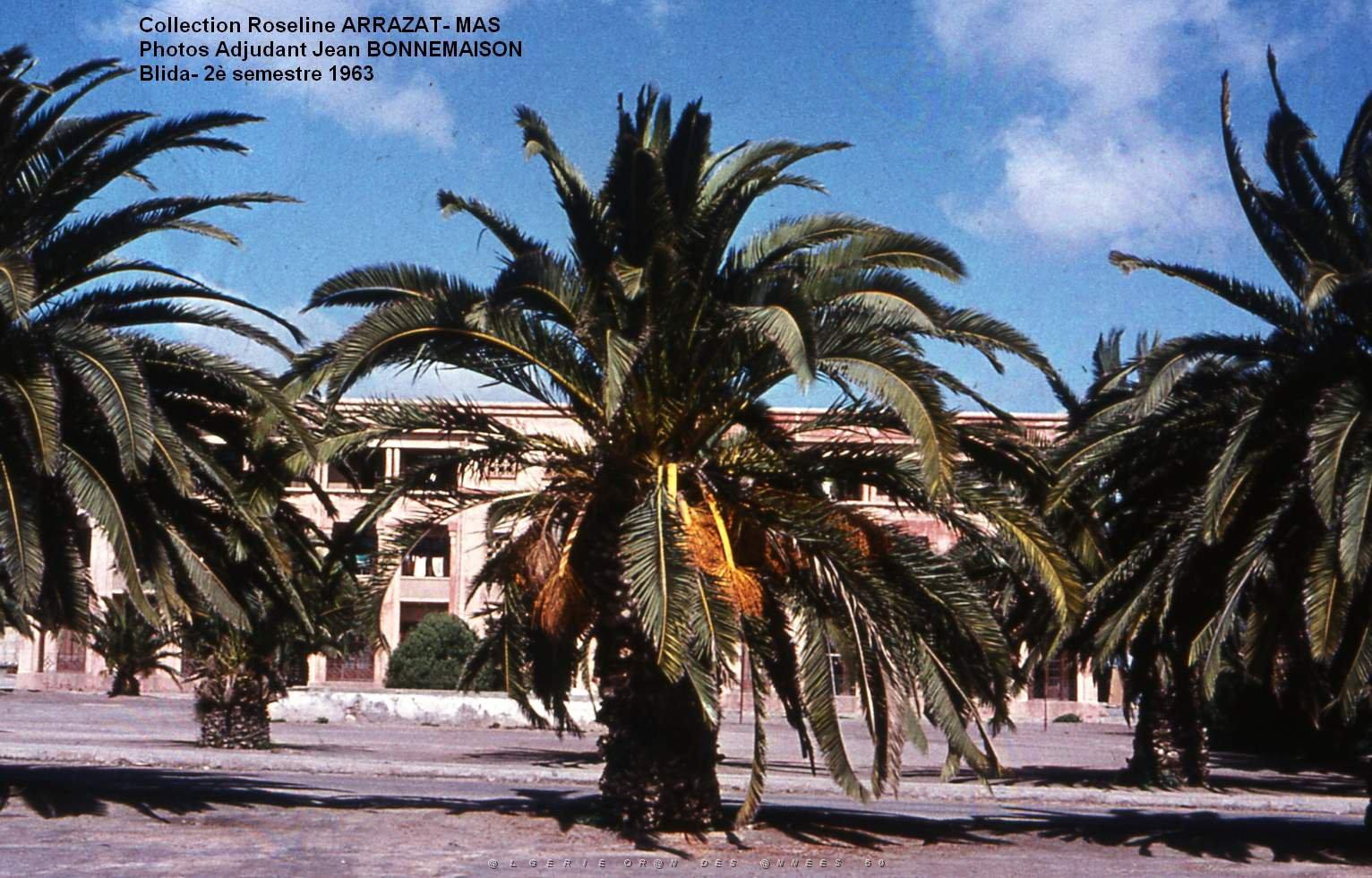 Mas- 133- Blida.jpg